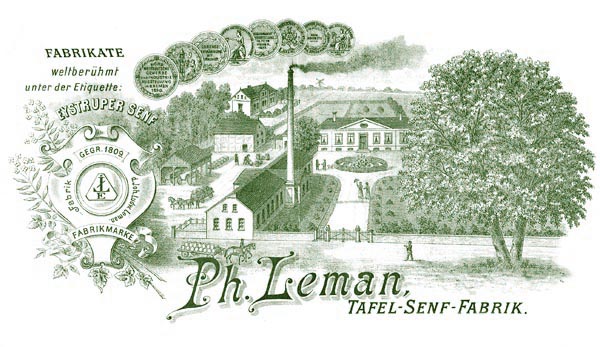 Geschichte Geschichte